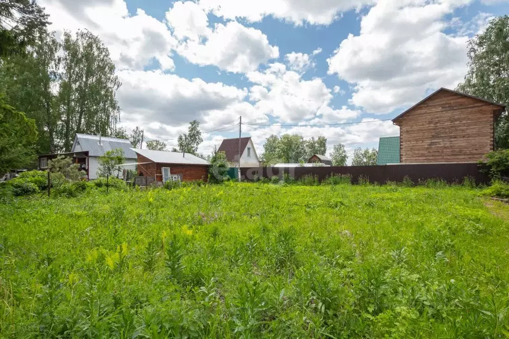 Участок в Новосибирская область, Новосибирский район, Барышевский ... - Фото 1