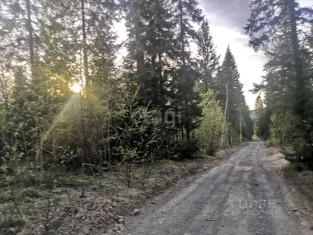 Участок в Свердловская область, Горноуральский городской округ, пос. ... - Фото 1