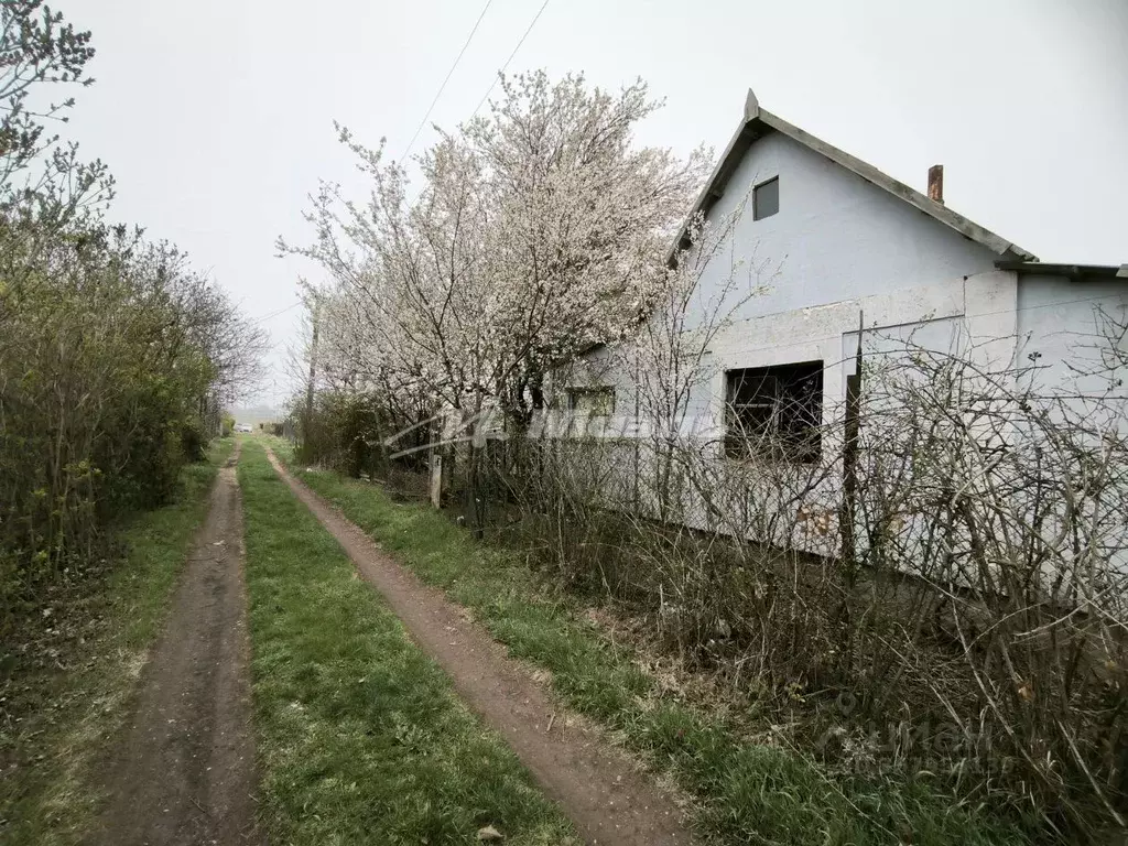 Участок в Крым, Симферопольский район, Гвардейское пгт, Авиатор СНТ ... - Фото 1