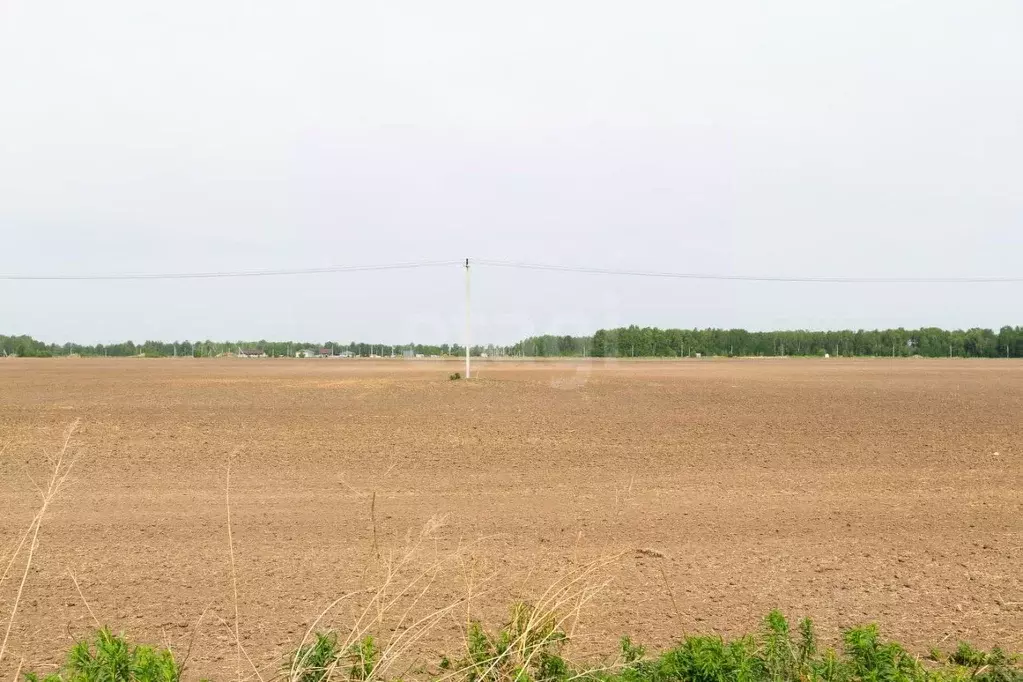 Участок в Тюменская область, Тюменский район, Новокаменский кп  (17.34 ... - Фото 1