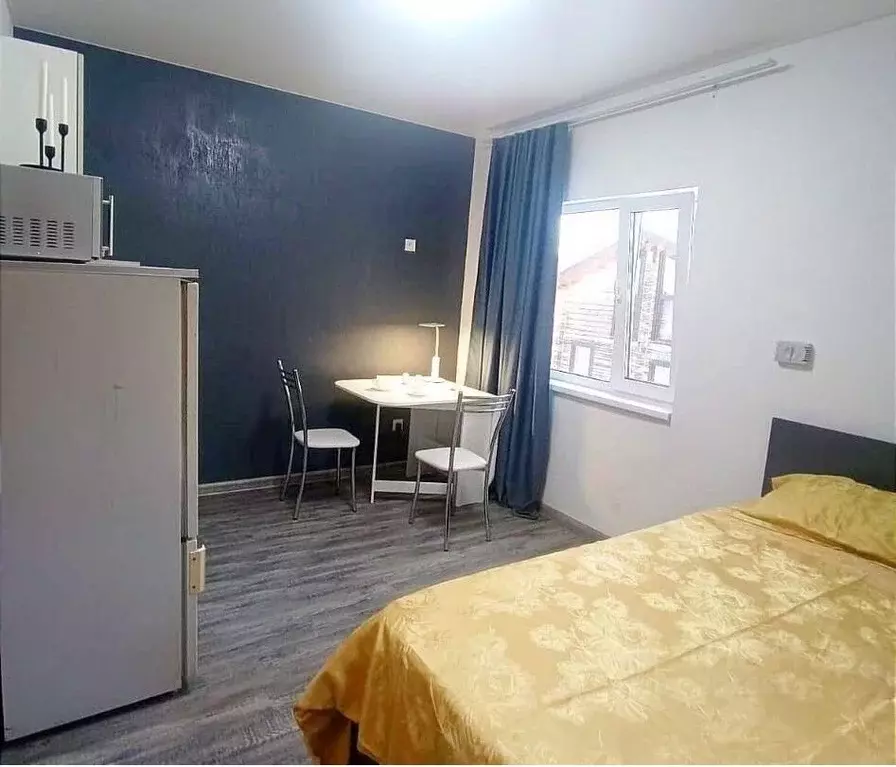 Студия Новосибирская область, Новосибирск Шлюз мкр, ул. Русская, 42Бк2 ... - Фото 2