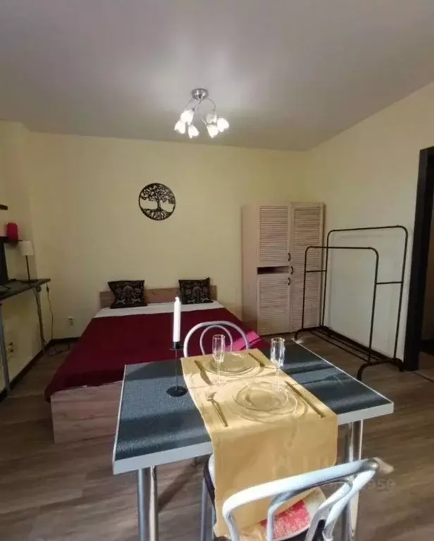 Студия Санкт-Петербург Парашютная ул., 58 (28.0 м) - Фото 2