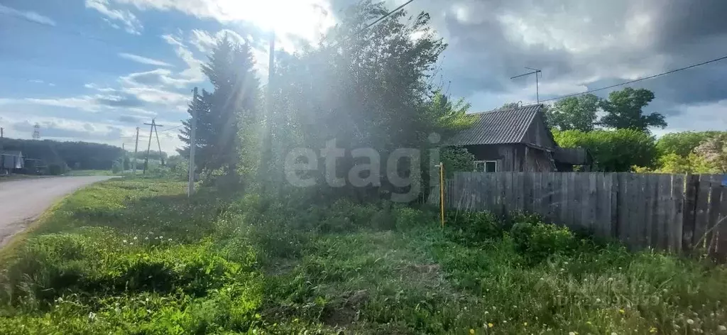 Дом в Новосибирская область, Мошково рп ул. Линейная, 5 (31 м) - Фото 1