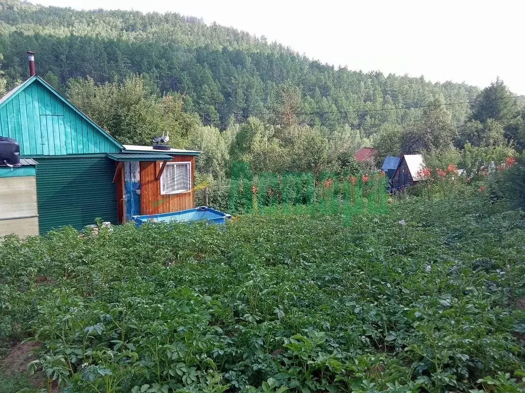 Дом в Забайкальский край, Читинский район, № 54 Радуга СНТ  (30 м) - Фото 1