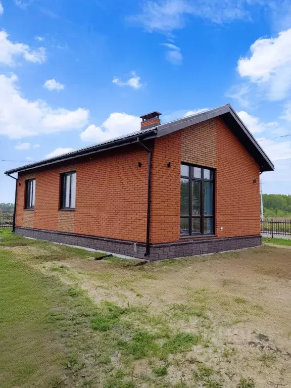 Дом в Омская область, Омский район, с. Пушкино  (75 м) - Фото 0