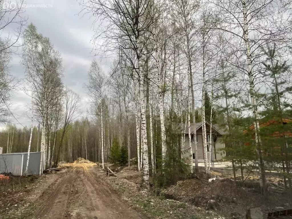 Участок в Медведевский район, Сидоровское сельское поселение, деревня ... - Фото 1