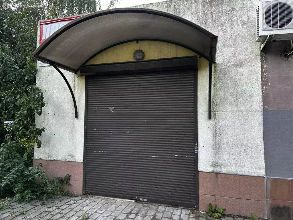 Торговая площадь (25.6 м) - Фото 1