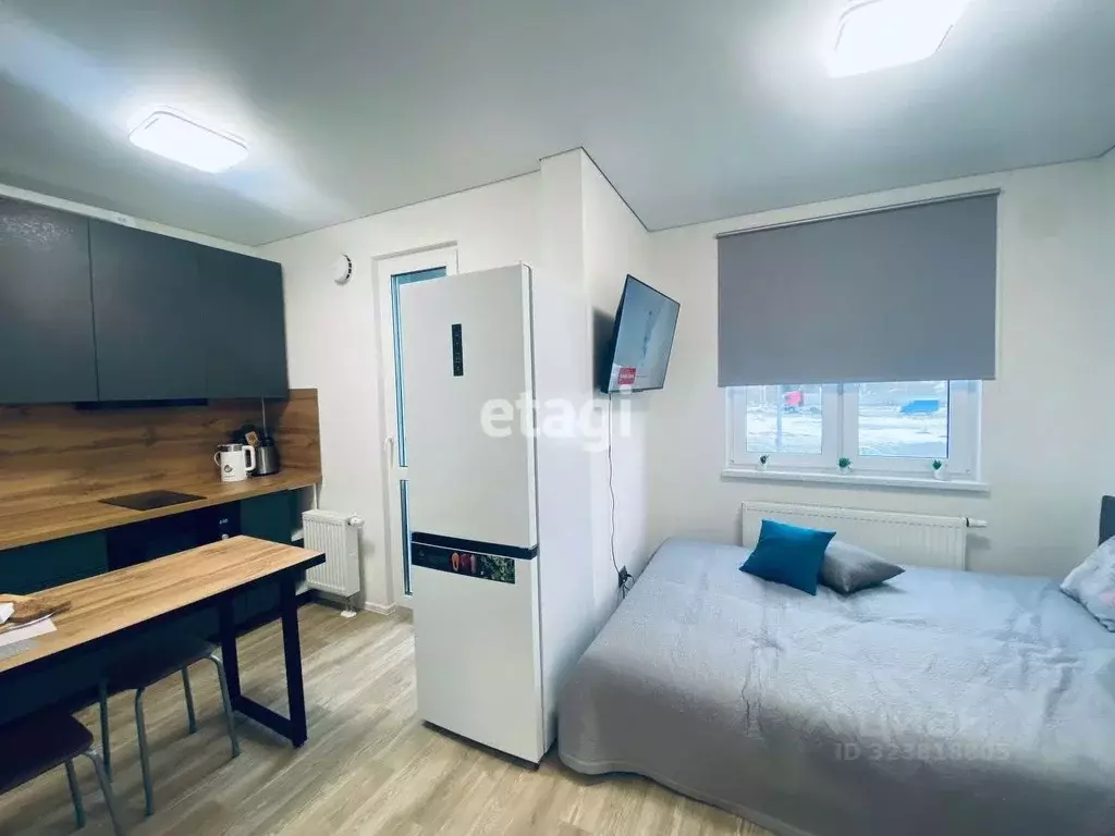 Студия Санкт-Петербург дор. Муринская, 8к2 (19.0 м) - Фото 1