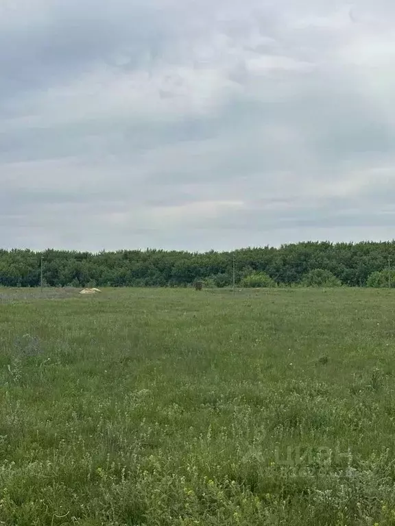 Участок в Липецкая область, Елецкий муниципальный округ, пос. Елецкий  ... - Фото 1