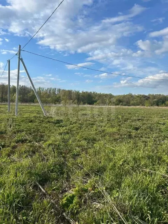 Участок в Тульская область, Тула городской округ, д. Медвенка  (10.0 ... - Фото 1