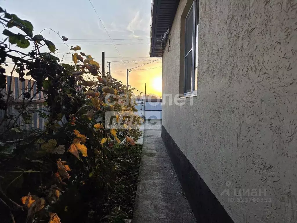 Дом в Краснодарский край, Динской район, Старомышастовская ст-ца ул. ... - Фото 2