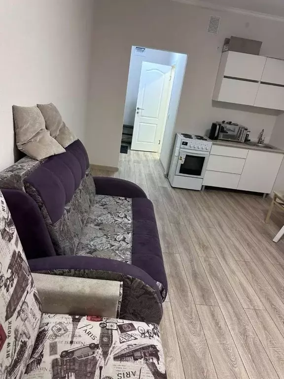 Студия Санкт-Петербург аллея Арцеуловская, 9 (24.2 м) - Фото 2