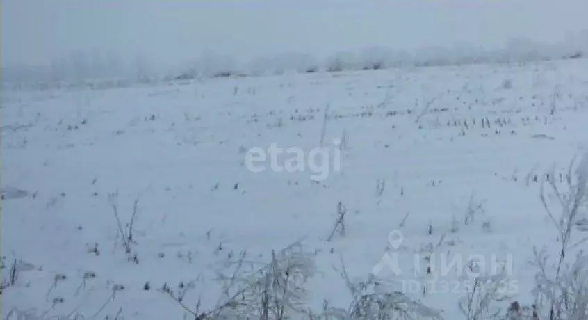 Участок в Липецкая область, Хлевенский район, Малининский сельсовет, ... - Фото 0