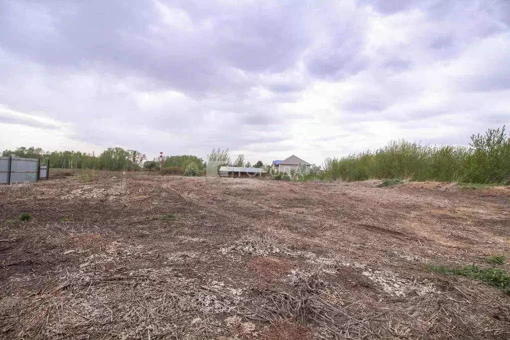 Участок в Алтайский край, Барнаул городской округ, пос. Новомихайловка ... - Фото 1