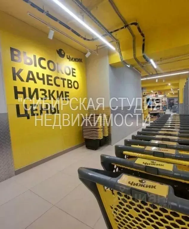 Помещение свободного назначения в Новосибирская область, Новосибирск ... - Фото 2