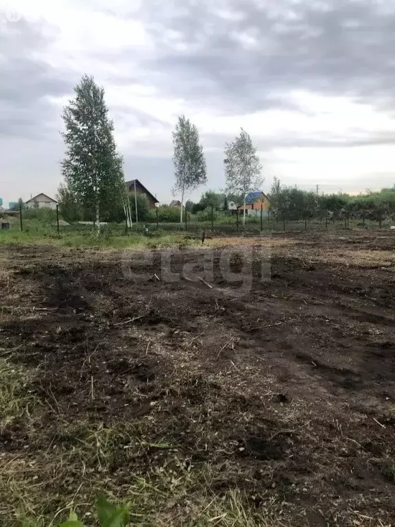 Участок в Толмачёвский сельсовет, СНТ Рябинка Обская (12 м) - Фото 0
