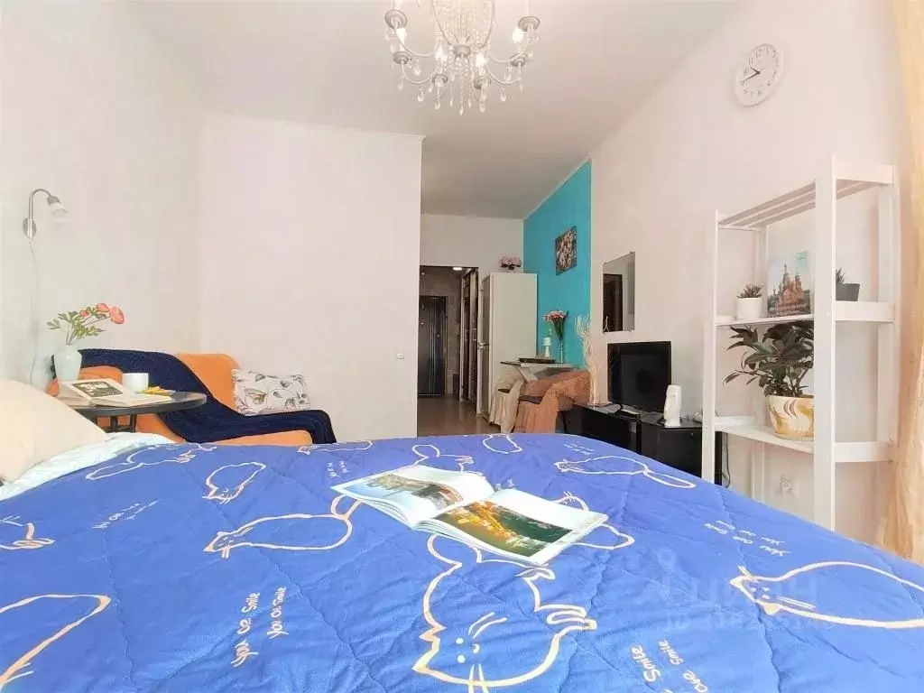 1-к кв. Санкт-Петербург ул. Крыленко, 43К2 (29.0 м) - Фото 1