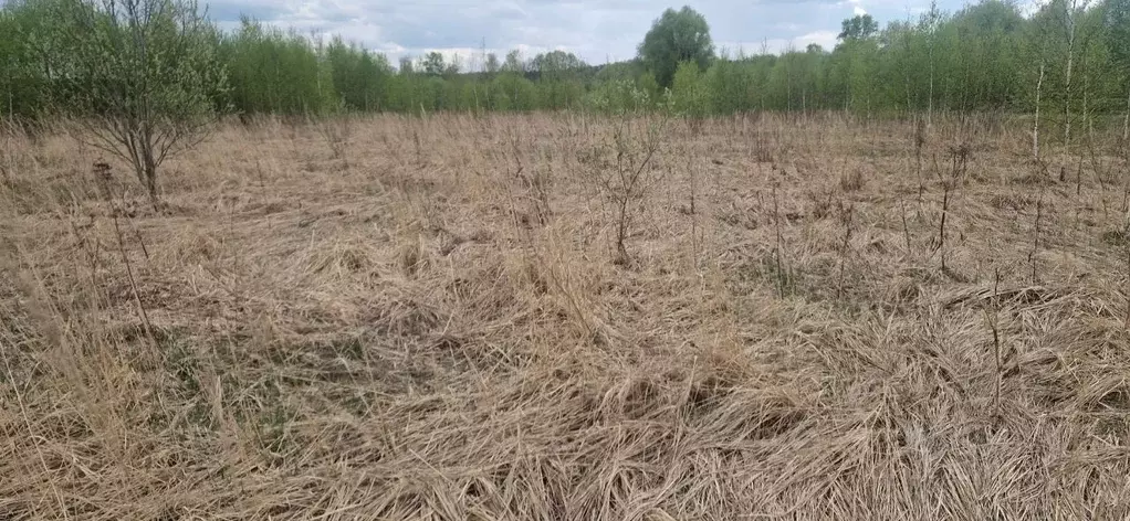Участок в Московская область, Домодедово городской округ, д. ... - Фото 1