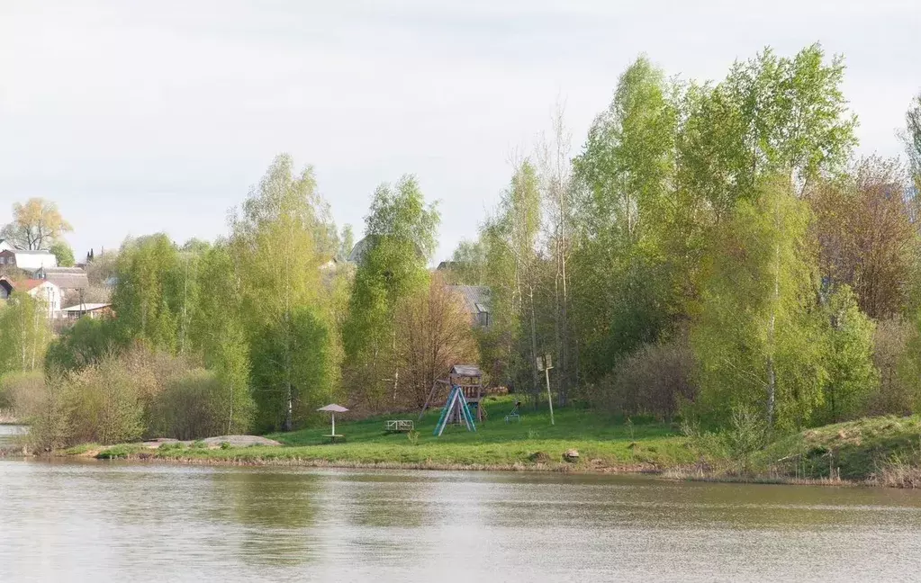 Участок в Московская область, Кашира городской округ, Литейщик СНТ  ... - Фото 2