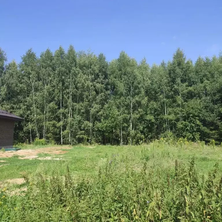 Участок в Московская область, Павлово-Посадский городской округ, д. ... - Фото 1