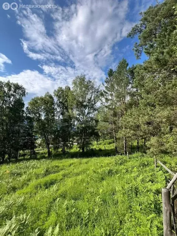 Участок в Чемальский район, посёлок Усть-Сема (7.5 м) - Фото 1