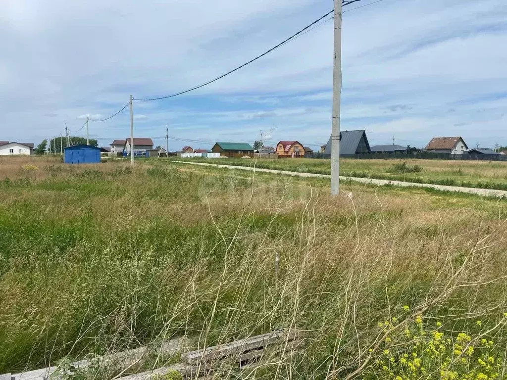 Участок в Новосибирская область, Новосибирский район, Толмачевский ... - Фото 0