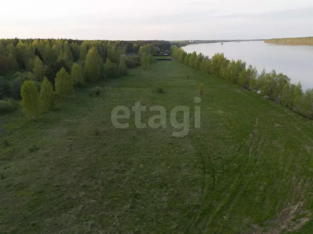 Участок в Ярославская область, Ростовский муниципальный округ, деревня ... - Фото 2