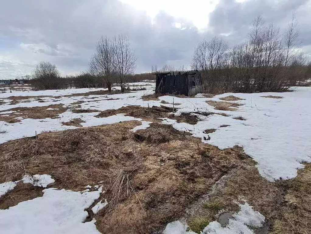 Купить Участок Песчаное Новгородский Район