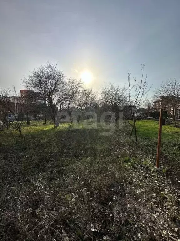 Участок в Ростовская область, Ростов-на-Дону Урожай садовое ... - Фото 1