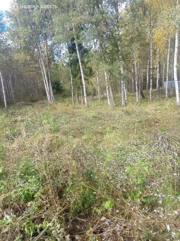 Участок в муниципальное образование Киров, деревня Бони, Андреевская ... - Фото 1