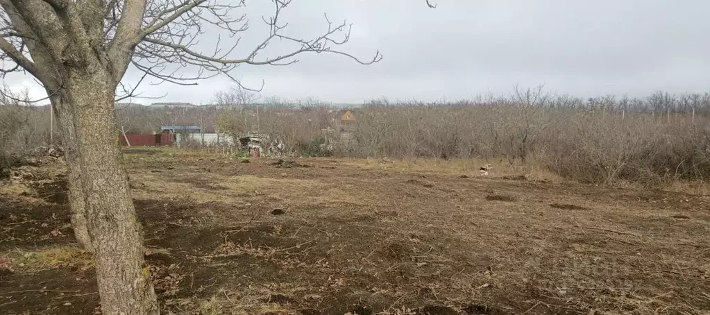 Участок в Ставропольский край, Ставрополь Встреча садовое ... - Фото 2