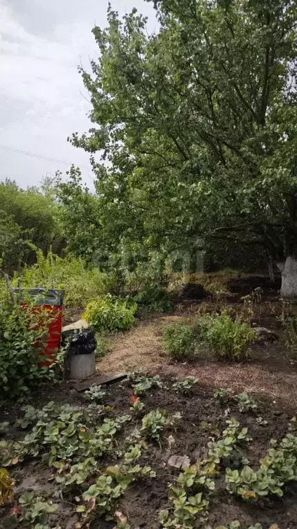 Участок в Ростовская область, Аксайский район, Истоминское с/пос, ... - Фото 2