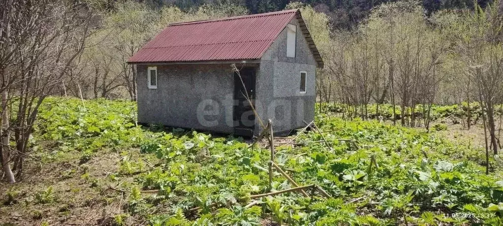 Участок в Сахалинская область, Невельск  (100.0 сот.) - Фото 1
