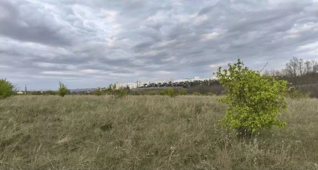 Участок в Белгородская область, Белгородский район, Дубовское с/пос, ... - Фото 2