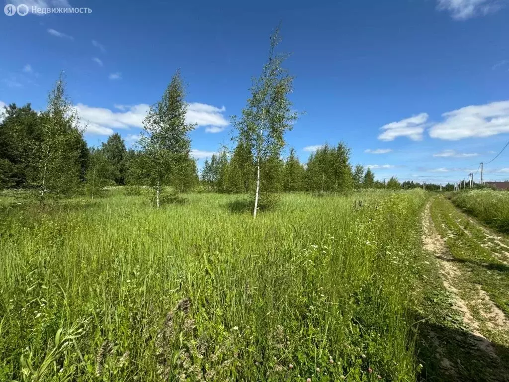 Участок в Китово, Новая улица, 20 (8 м) - Фото 1