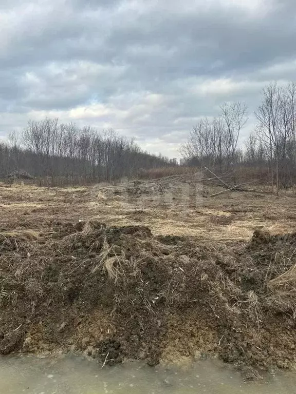 Участок в Сахалинская область, Анивский городской округ, с. ... - Фото 1