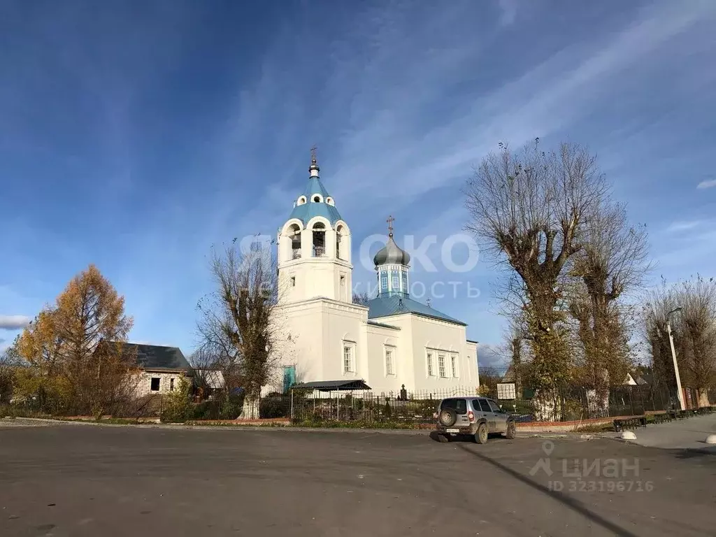 Участок в Пермский край, Березники муниципальный округ, с. Романово  ... - Фото 1