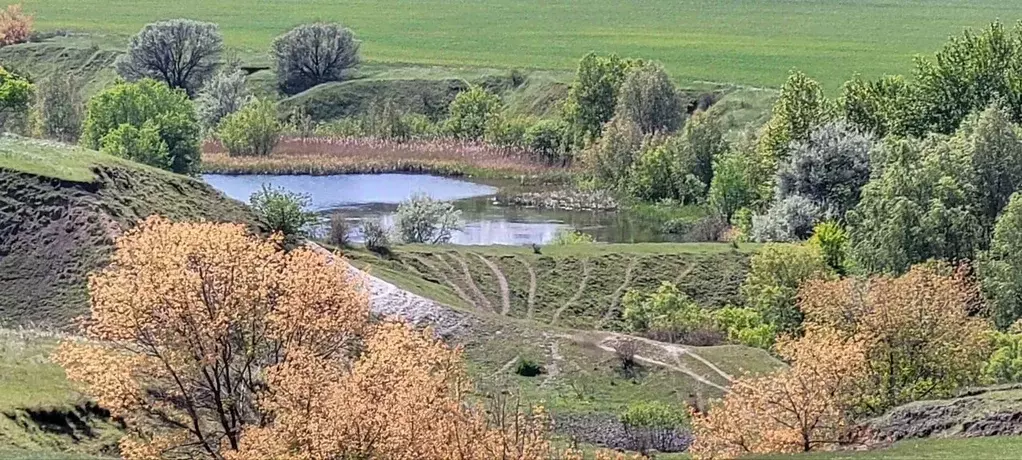 Участок в Воронежская область, Хохольское городское поселение  (60.0 ... - Фото 1