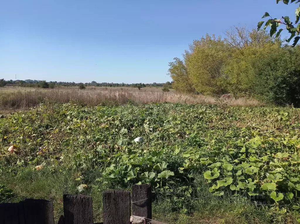Дом в Белгородская область, Валуйский муниципальный округ, с. ... - Фото 0