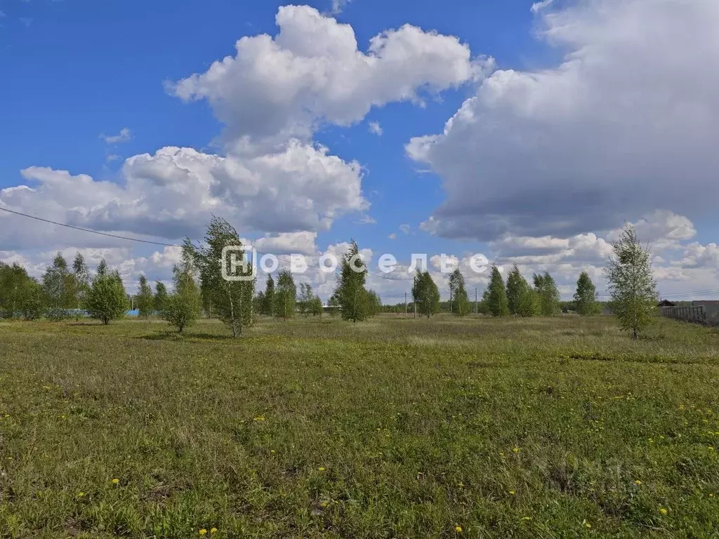 Участок в Рязанская область, Рыбное  (8.0 сот.) - Фото 1