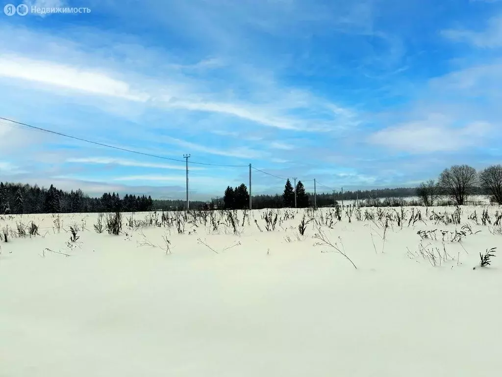 Участок в Московская область, городской округ Клин, КП Коськово, 83 ... - Фото 1
