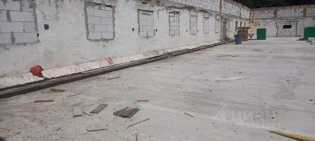 Помещение свободного назначения в Краснодарский край, Динской район, ... - Фото 1