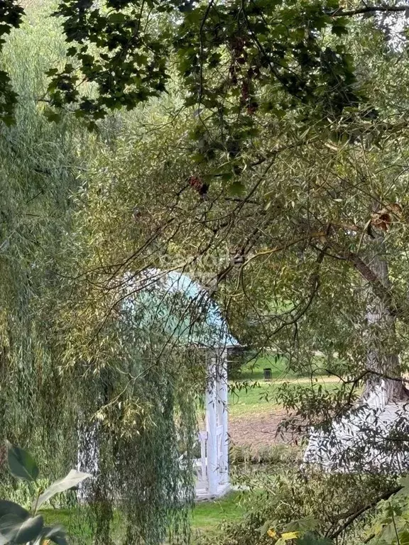 Участок в Брянская область, Жуковский муниципальный округ, с. Овстуг ... - Фото 2