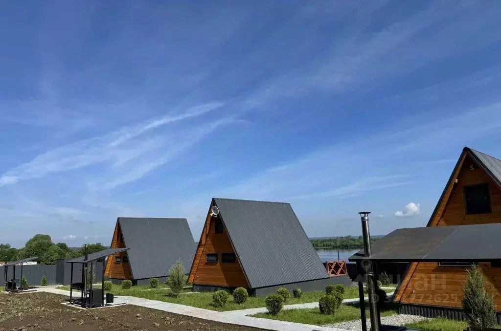 Участок в Нижегородская область, Лысковский район, с. Бармино ... - Фото 1