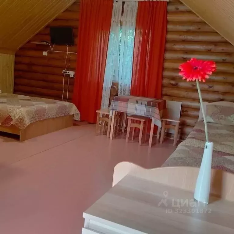 Комната Краснодарский край, Апшеронский район, пос. Мезмай Речная ул. ... - Фото 1