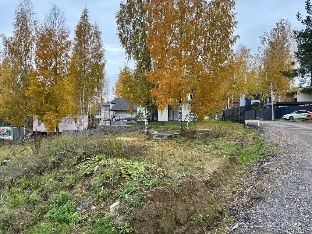 Участок в Ленинградская область, Всеволожский район, Агалатовское ... - Фото 0