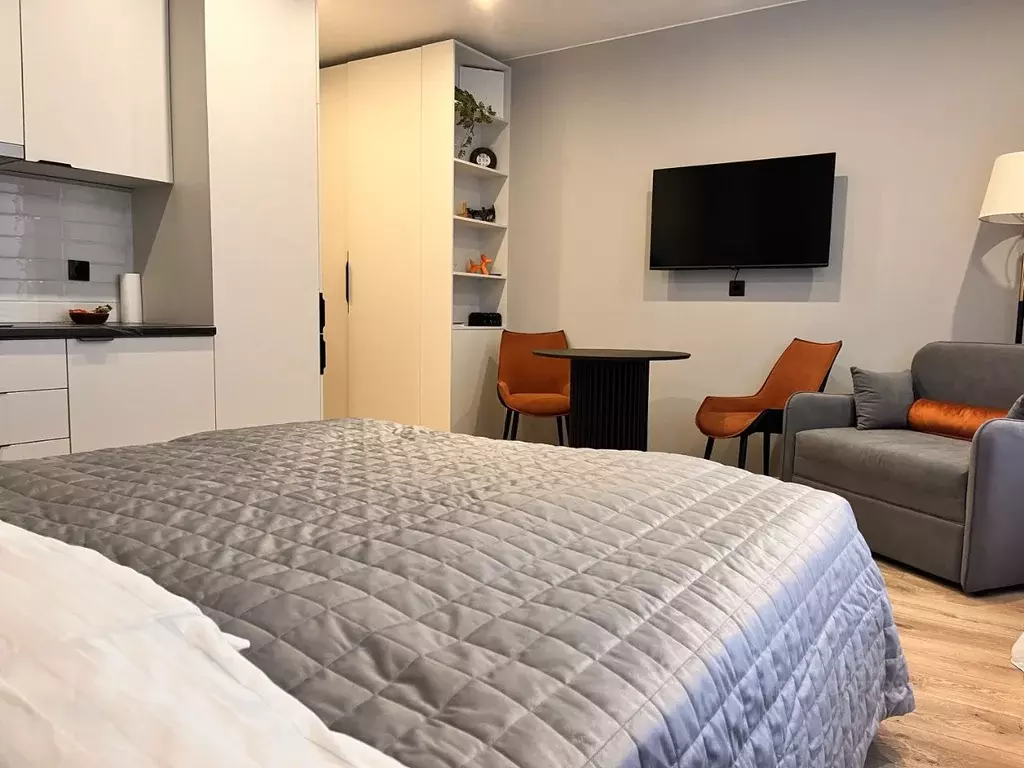 Студия Санкт-Петербург просп. Энергетиков, 2к2 (28.7 м) - Фото 2