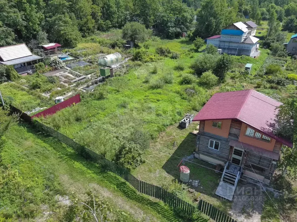 Участок в Хабаровский край, Хабаровский район, Зубровое СНТ 123 (8.0 ... - Фото 2