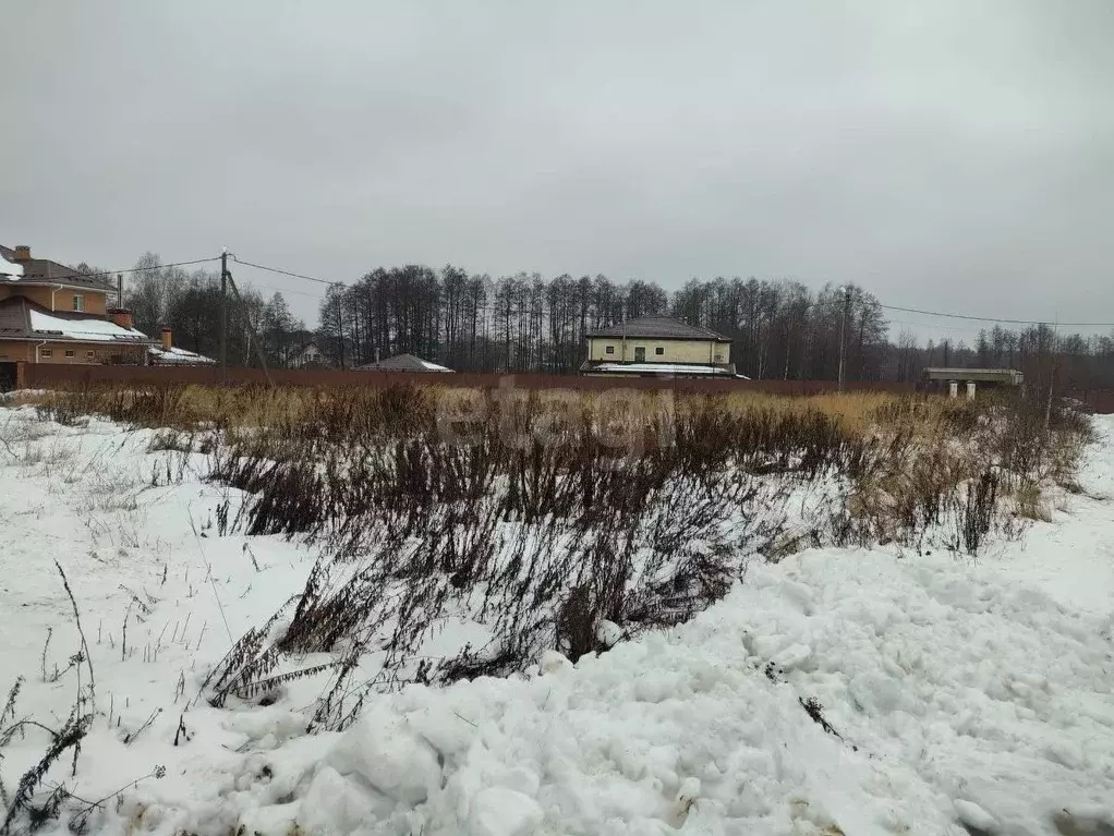 Участок в Московская область, Богородский городской округ, с. ... - Фото 0