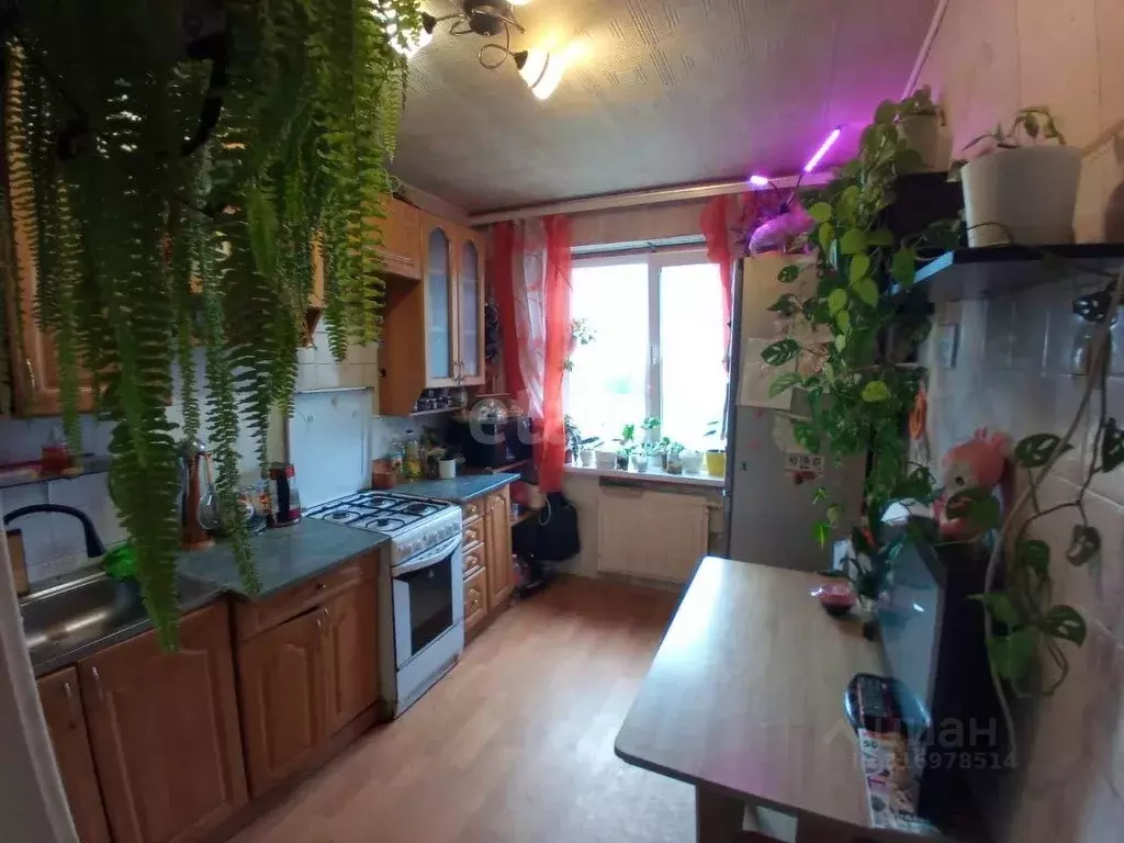 3-к кв. Псковская область, Псков Рижский просп., 53 (61.8 м) - Фото 1